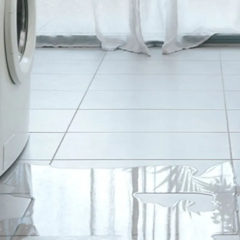 Appliance Leak Cleanup in Ocoee, FL